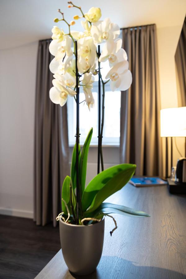 Hotel Weisses Ross 쿨름바흐 외부 사진